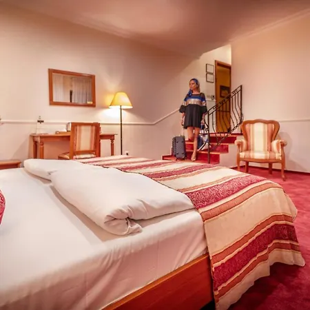Hotel Capital With Private Wellness Nitra