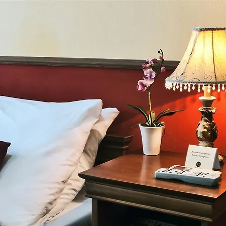 Hotel Capital With Private Wellness 4*