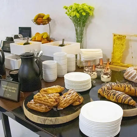 酒店 Capital With Private Wellness 尼特拉