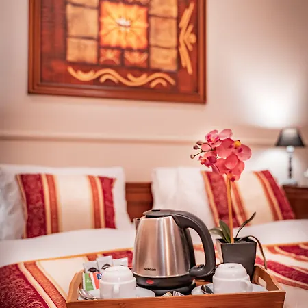 Capital With Private Wellness 4* 尼特拉