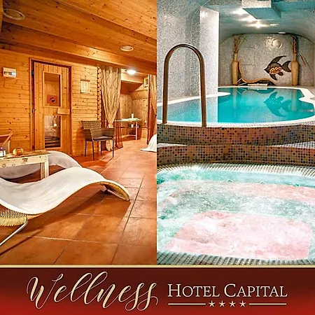 Hotel Capital With Private Wellness